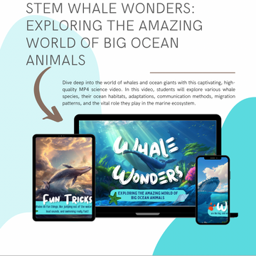STEM Whale Wonders: Big Ocean Animals &amp; Ocean Care
